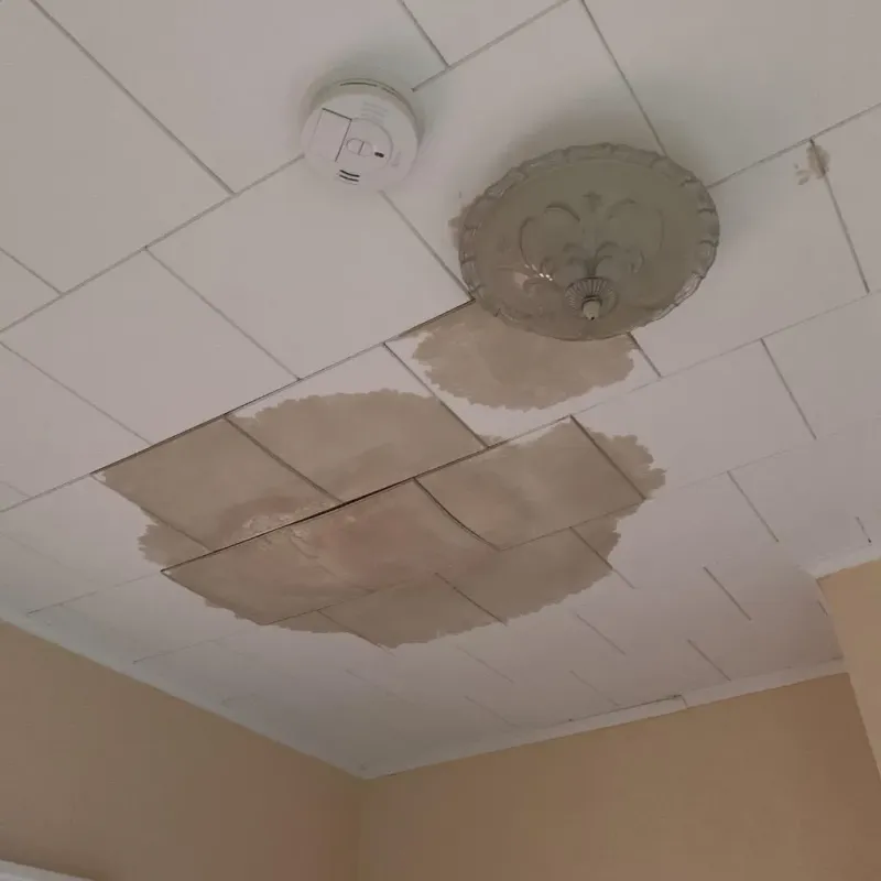 Ceiling Water Damage Repair in Cambridge Springs, PA