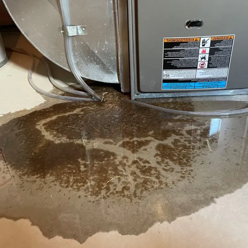 Pipe Burst and Leak Restoration in Cambridge Springs, PA