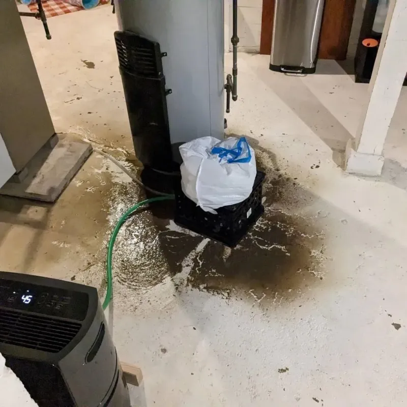 Sewage Backup Cleanup Service in Cambridge Springs, PA